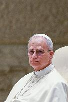 Pope Leo XIV Leads The General Audience - Vatican