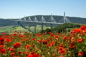 Illustration - Millau