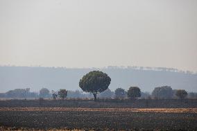 One Dead and More than 5,000 People Evacuated as Fires Ravage Leon - Spain