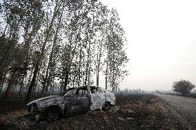 One Dead and More than 5,000 People Evacuated as Fires Ravage Leon - Spain