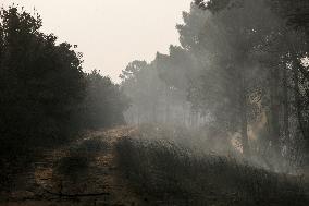 One Dead and More than 5,000 People Evacuated as Fires Ravage Leon - Spain