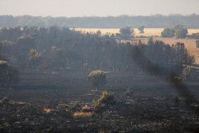 One Dead and More than 5,000 People Evacuated as Fires Ravage Leon - Spain