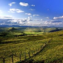 Illustration - Puy-de-Dome