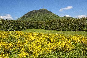 Illustration - Puy-de-Dome