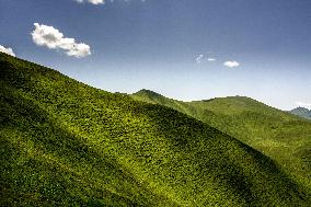 Illustration - Puy-de-Dome
