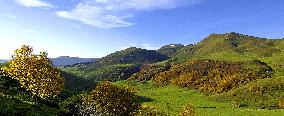Illustration - Puy-de-Dome