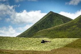 Illustration - Puy-de-Dome