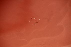 Illustration - Occitanie