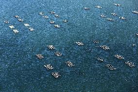 Illustration - Occitanie