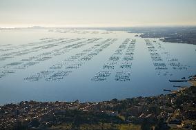 Illustration - Occitanie