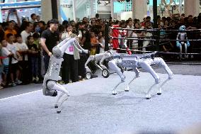 2025 WORLD ROBOT CONFERENCE