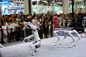 2025 WORLD ROBOT CONFERENCE