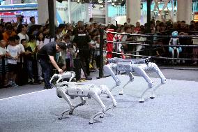 2025 WORLD ROBOT CONFERENCE