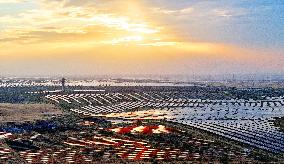 Desert Photovoltaics