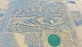 Desert Photovoltaics