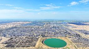 Desert Photovoltaics