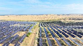 Desert Photovoltaics
