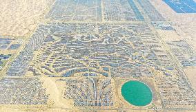 Desert Photovoltaics