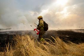 Forest Fires Continue to Burn in Northern Spain