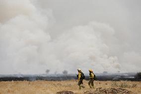 Forest Fires Continue to Burn in Northern Spain