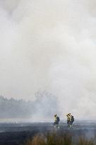 Forest Fires Continue to Burn in Northern Spain