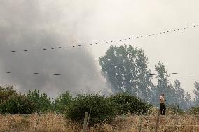 Forest Fires Continue to Burn in Northern Spain