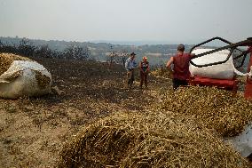 Forest Fires Continue to Burn in Northern Spain