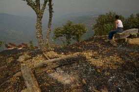 Forest Fires Continue to Burn in Northern Spain