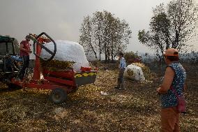 Forest Fires Continue to Burn in Northern Spain