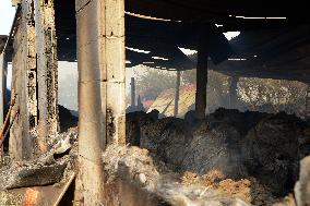 Forest Fires Continue to Burn in Northern Spain