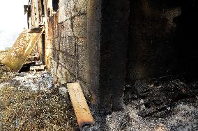 Forest Fires Continue to Burn in Northern Spain