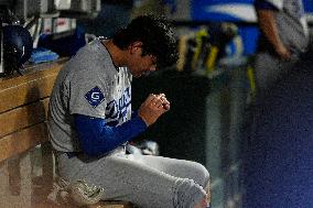 Baseball:Shohei Ohtani