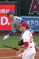 Baseball:Shohei Ohtani
