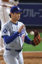 Baseball:Shohei Ohtani