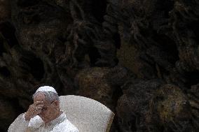 Pope Leo XIV Weekly General Audience - Vatican
