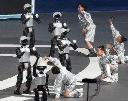 World Humanoid Robot Games in Beijing