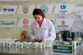 Smart Agriculture Plant Factory Opens in Kuqa Xinjiang - China