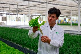 Smart Agriculture Plant Factory Opens in Kuqa Xinjiang - China