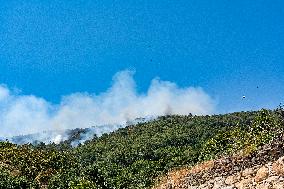 Efforts Underway to Contain Jarilla Fire Stretching 48 km - Spain
