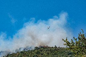 Efforts Underway to Contain Jarilla Fire Stretching 48 km - Spain