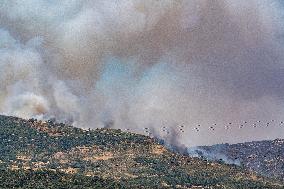 Efforts Underway to Contain Jarilla Fire Stretching 48 km - Spain