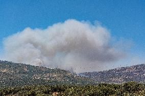 Efforts Underway to Contain Jarilla Fire Stretching 48 km - Spain