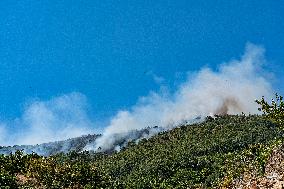 Efforts Underway to Contain Jarilla Fire Stretching 48 km - Spain