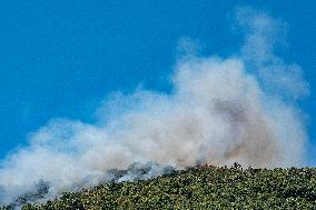 Efforts Underway to Contain Jarilla Fire Stretching 48 km - Spain