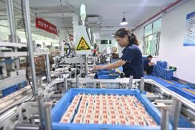 Electronic Component Manufacturing in Qingzhou