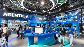 Amazon Web Services Agentic AI