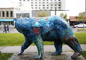 City View of Anchorage - Alaska