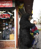 City View of Anchorage - Alaska