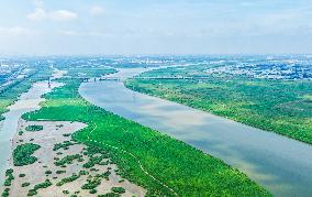 National Ecology Day