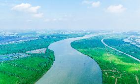 National Ecology Day